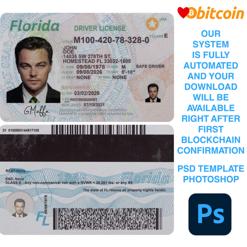 Florida Driver License Template V1   United Templates